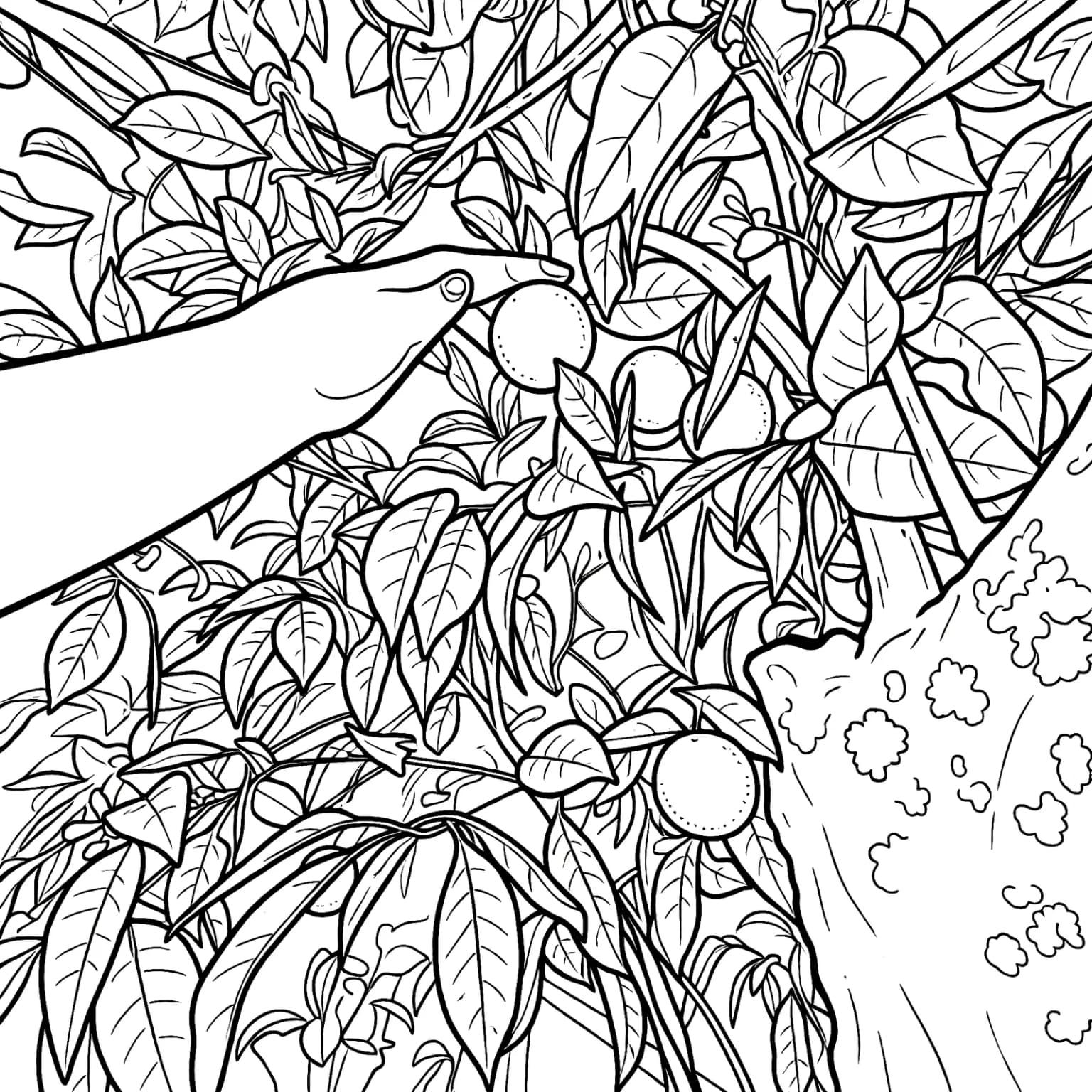 The same as a colouring page: a hand, an orange, and a page full of outlined leaves and fruit