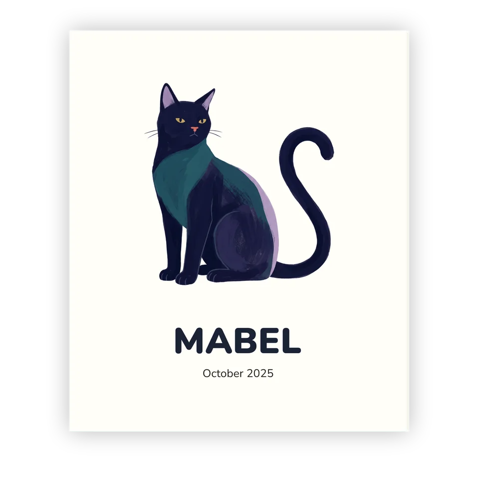 Midnight Cat Colouring Book