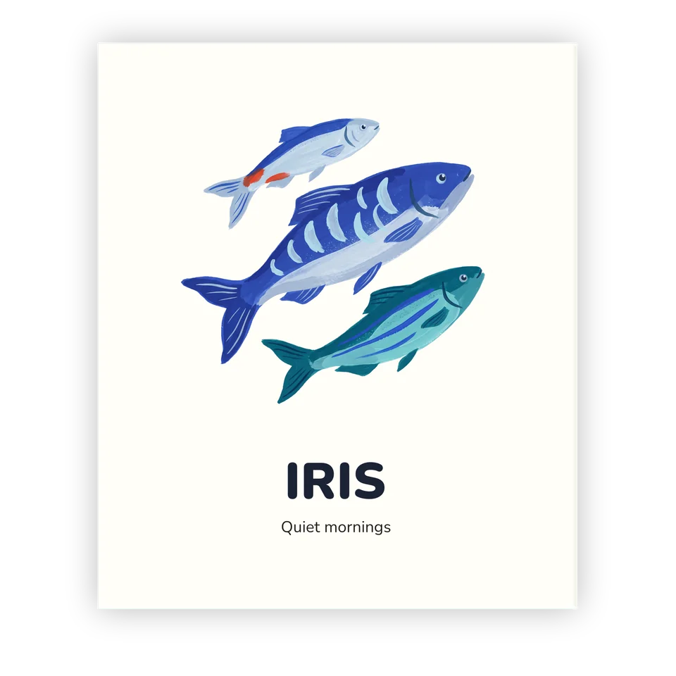 Silver Shoal Colouring Book